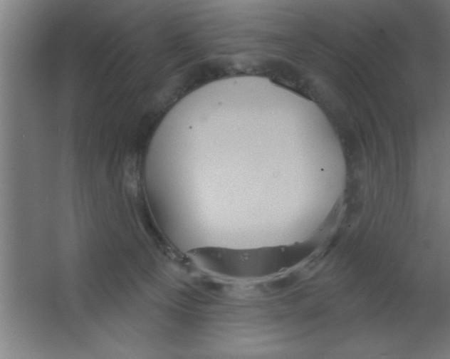 X0000067350129200604212011