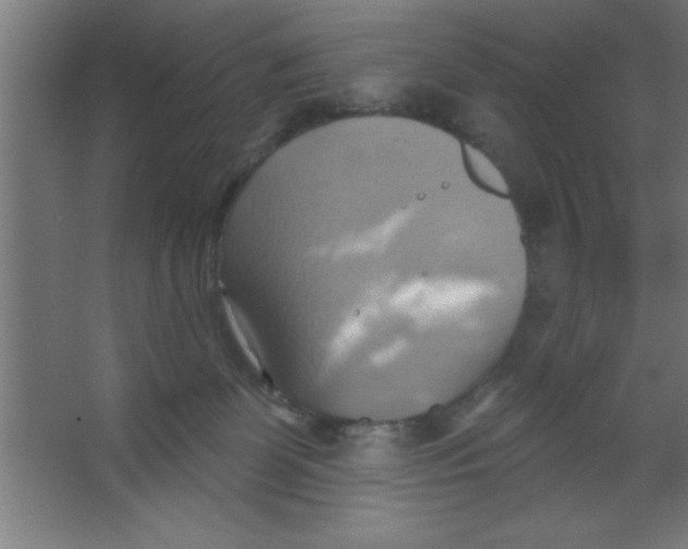 X0000067350131200604212011