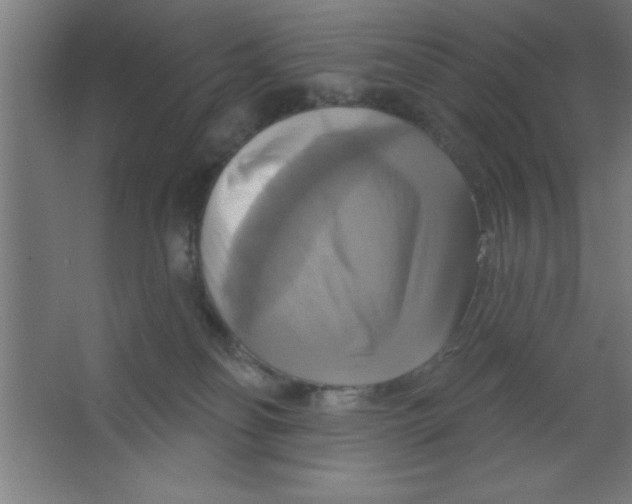 X0000067350134200604212011