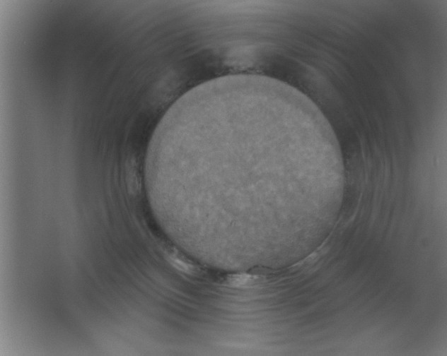 X0000067350136200604212011