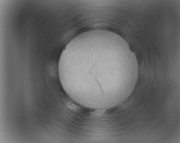 X0000067350138200604212011