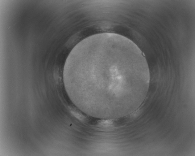 X0000067350140200604212011