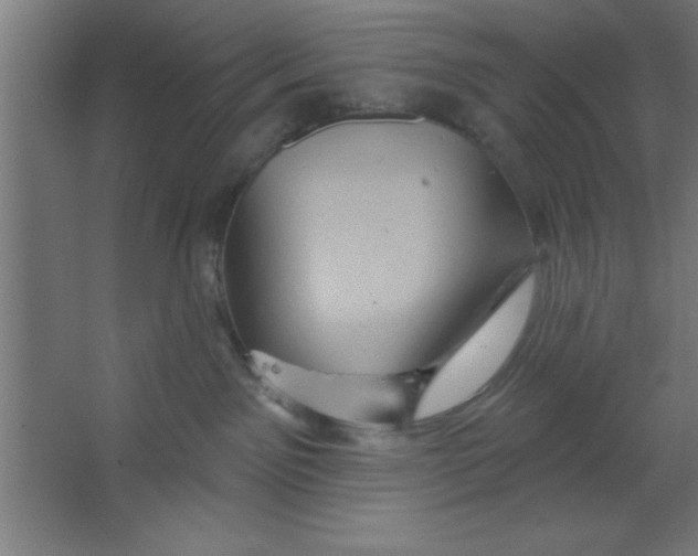 X0000067350141200604212011