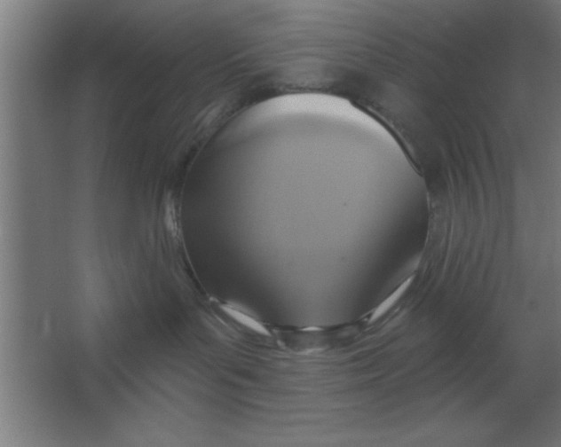 X0000067350143200604212011