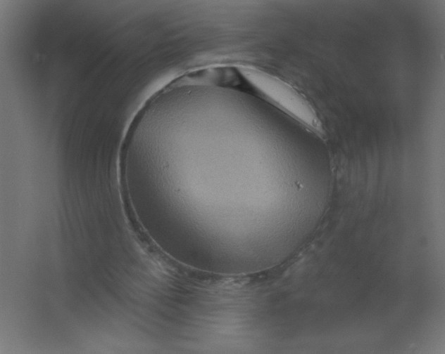 X0000067350148200604212010