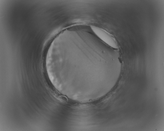 X0000067350149200604212010