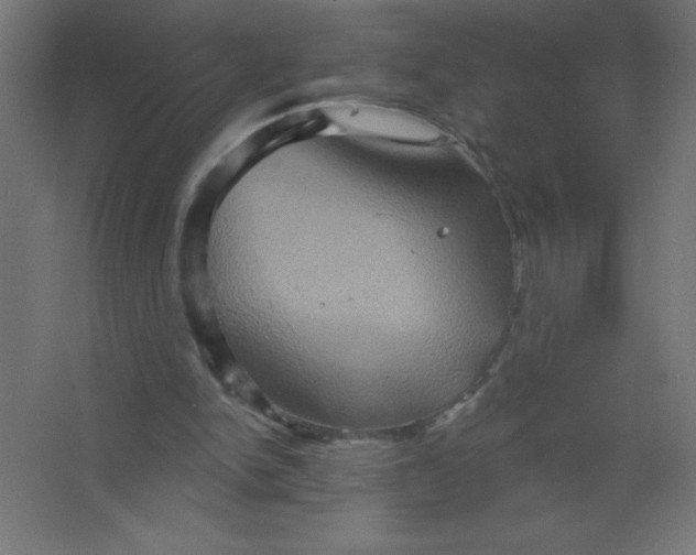 X0000067350150200604212010