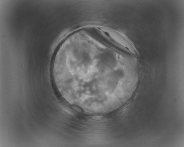 X0000067350151200604212010