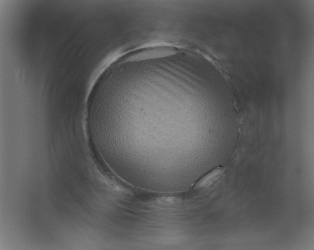 X0000067350152200604212010