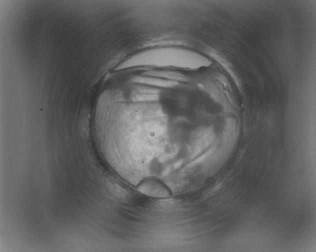 X0000067350153200604212011