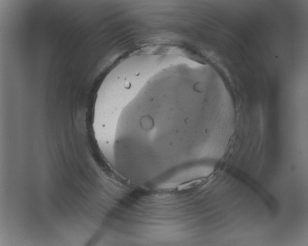 X0000067350154200604212011