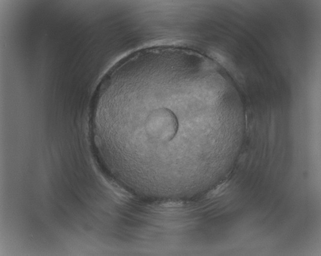 X0000067350156200604212011