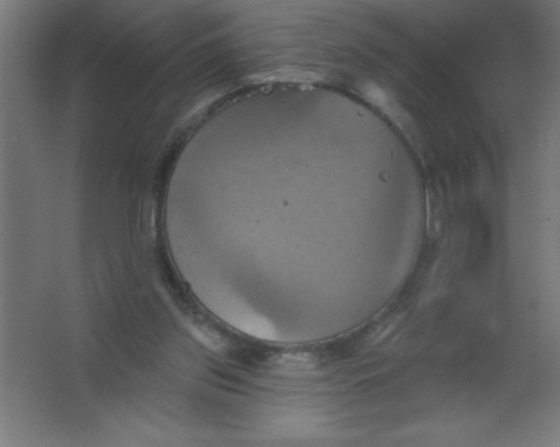 X0000067350157200604212011