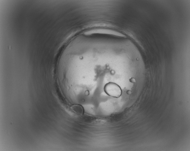 X0000067350159200604212011