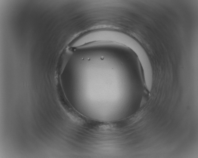 X0000067350160200604212011