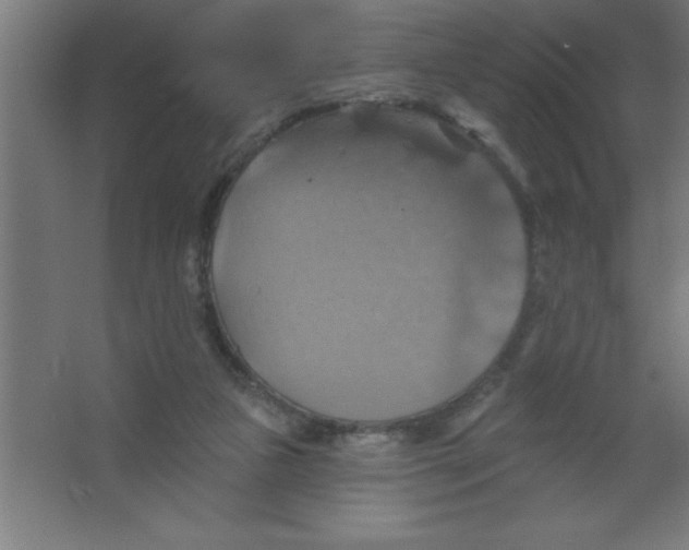 X0000067350161200604212011