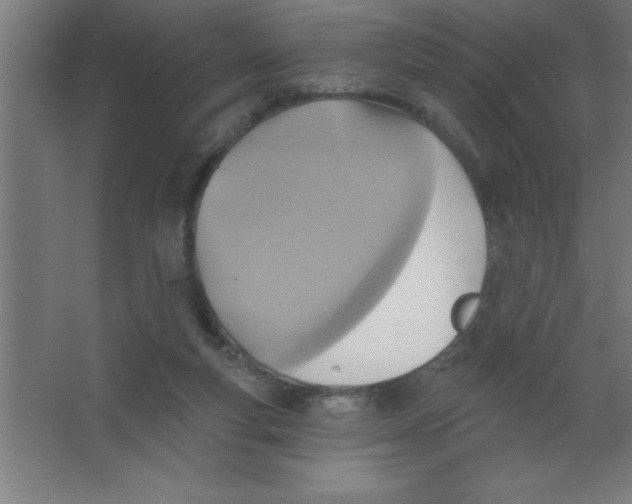 X0000067350163200604212011