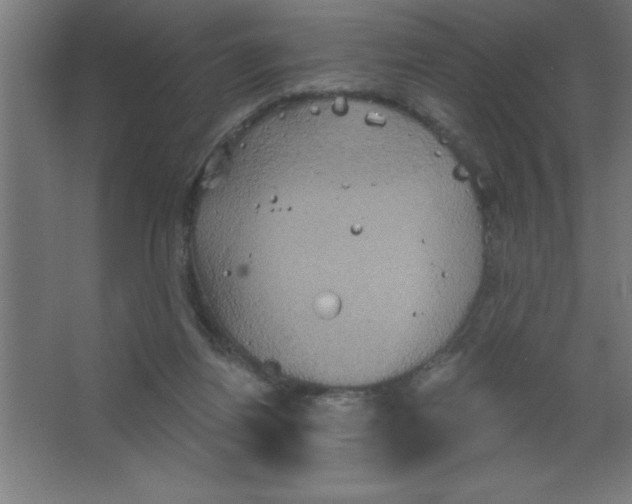 X0000067350164200604212011