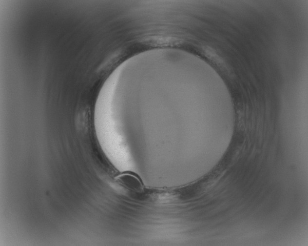 X0000067350165200604212011