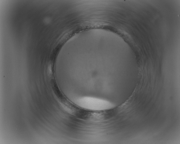 X0000067350166200604212011