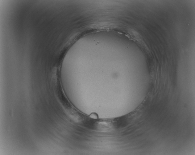 X0000067350167200604212011