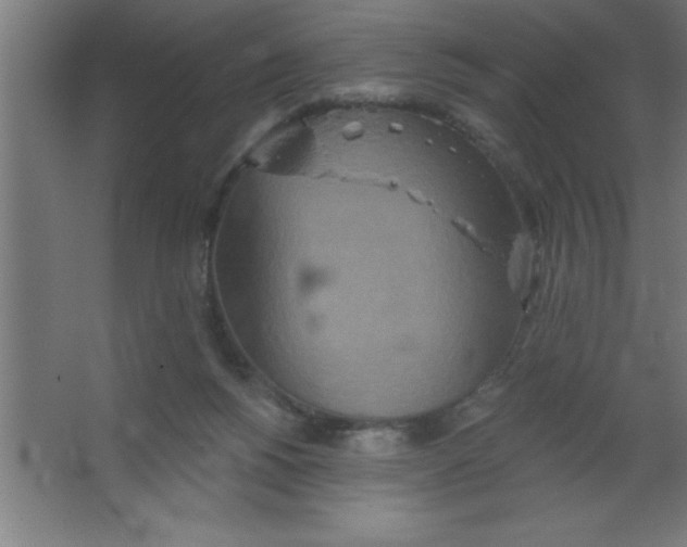 X0000067350168200604212011