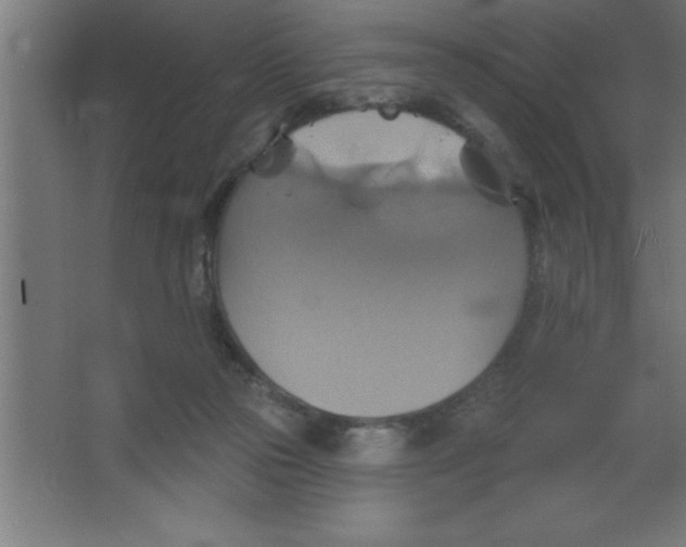 X0000067350169200604212011