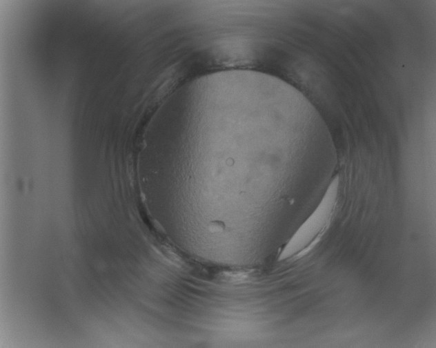 X0000067350170200604212011