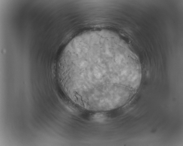 X0000067350171200604212011