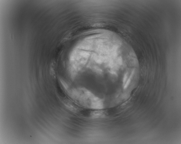 X0000067350175200604212011