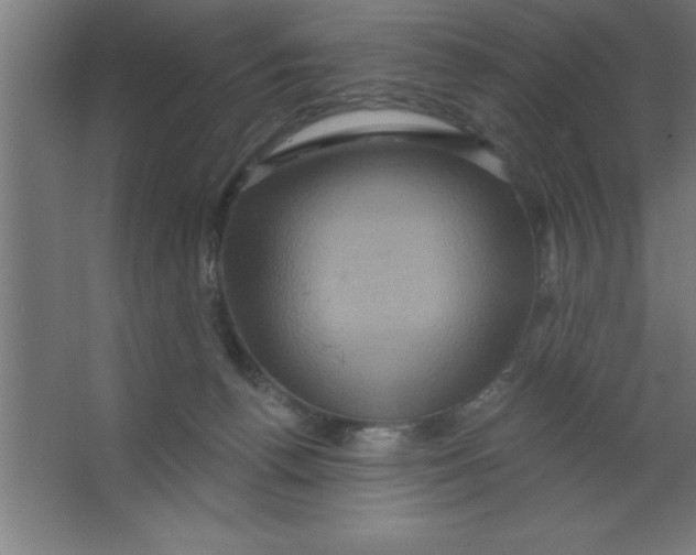 X0000067350176200604212011