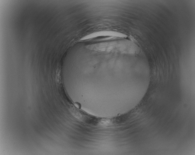 X0000067350177200604212011