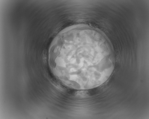 X0000067350179200604212011