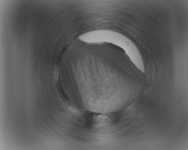 X0000067350180200604212011