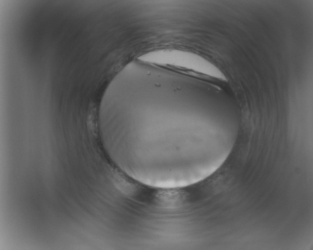 X0000067350181200604212011