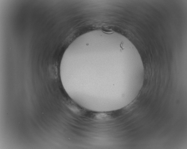 X0000067350183200604212011