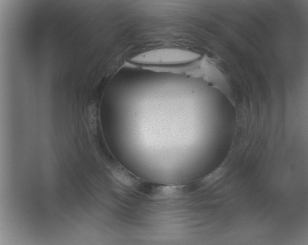 X0000067350184200604212011