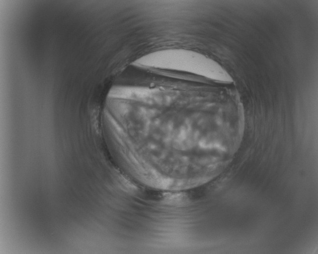 X0000067350185200604212011