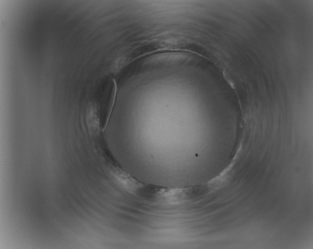 X0000067350186200604212011