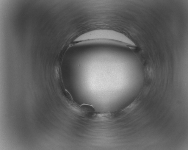 X0000067350188200604212011