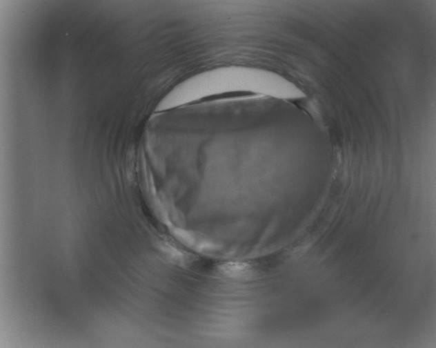 X0000067350189200604212011