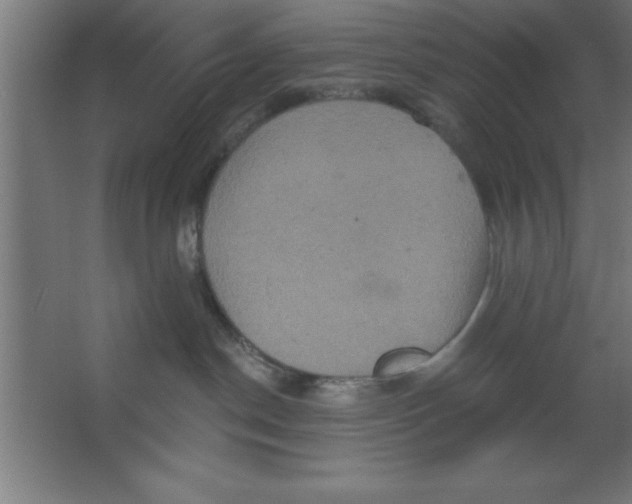 X0000067350190200604212011