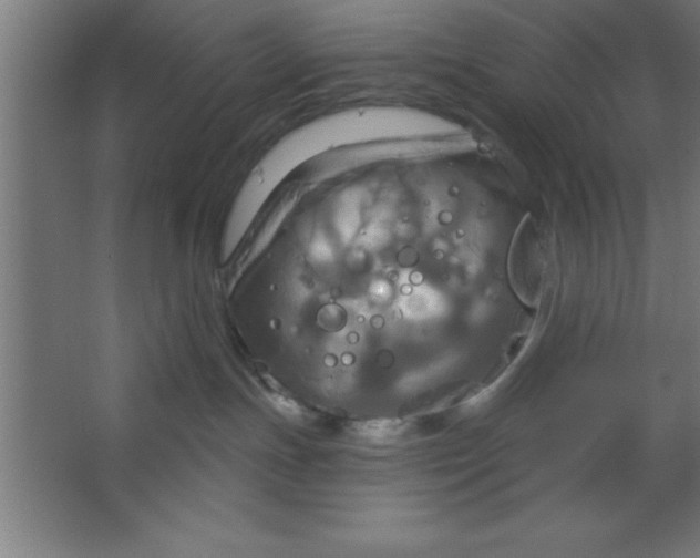 X0000067350191200604212011