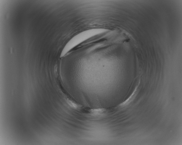 X0000067350192200604212011