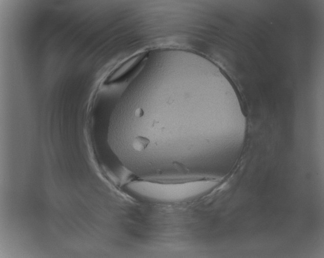 X0000067350193200604212010