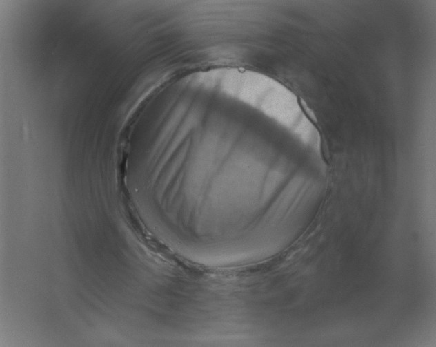 X0000067350194200604212010