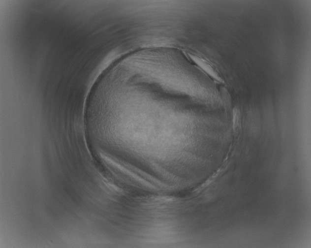 X0000067350195200604212010