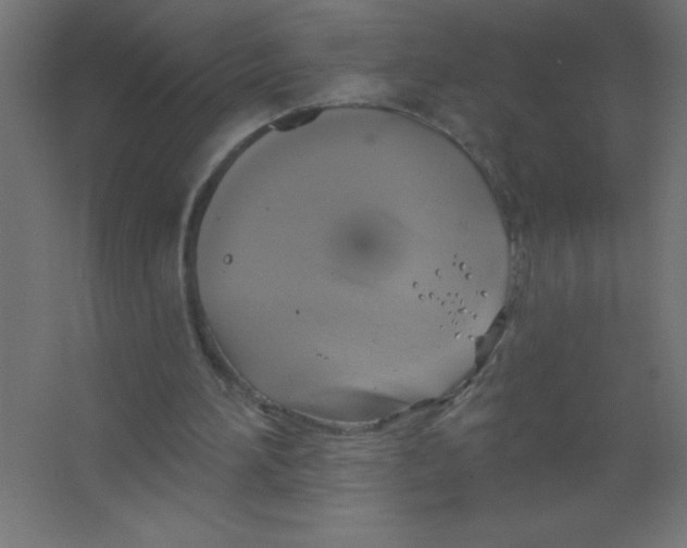 X0000067350196200604212010