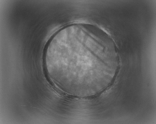 X0000067350199200604212010