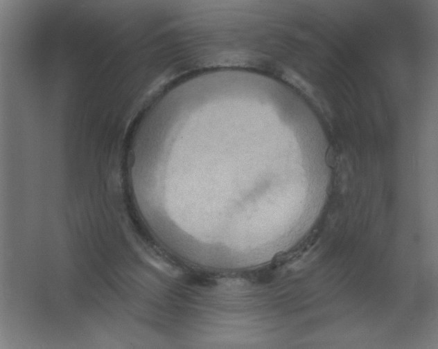 X0000067350203200604212010